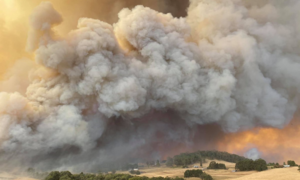 Australia: Thiệt hại kinh tế từ thảm họa cháy rừng vượt kỷ lục các mùa trước